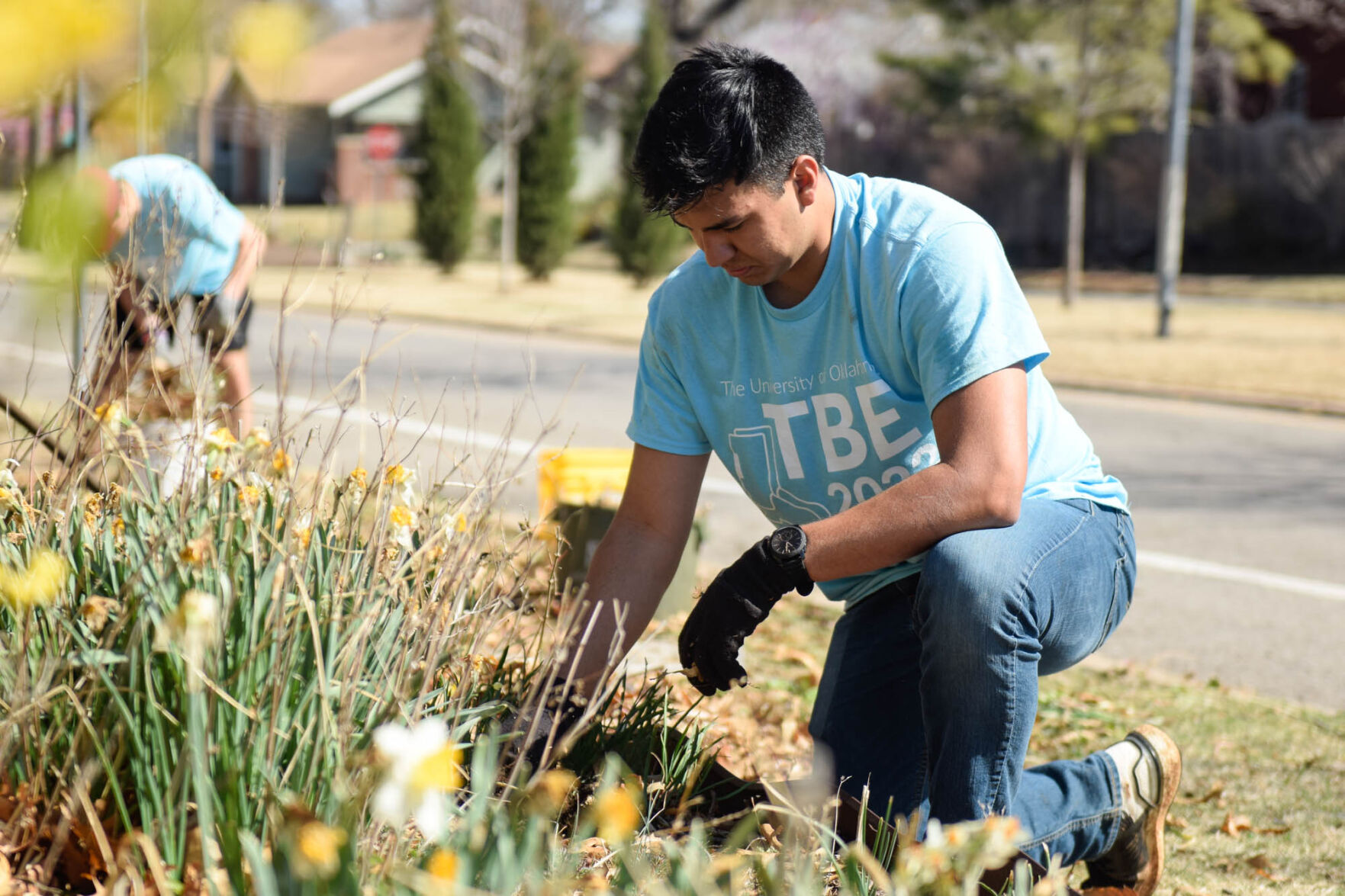 Gardening